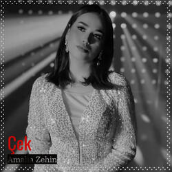 Çek