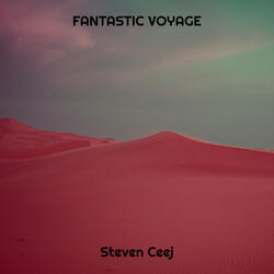 Fantastic Voyage