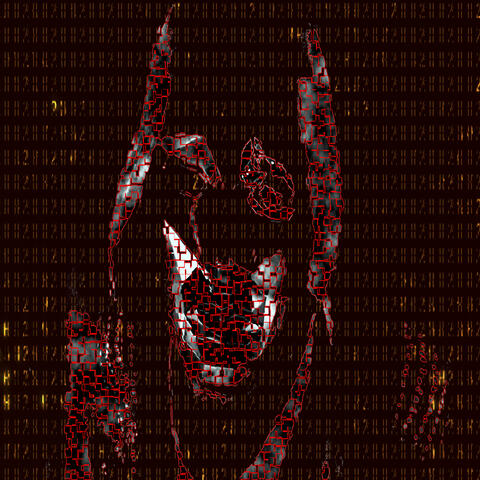 Dark Numbers