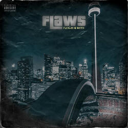Flaws