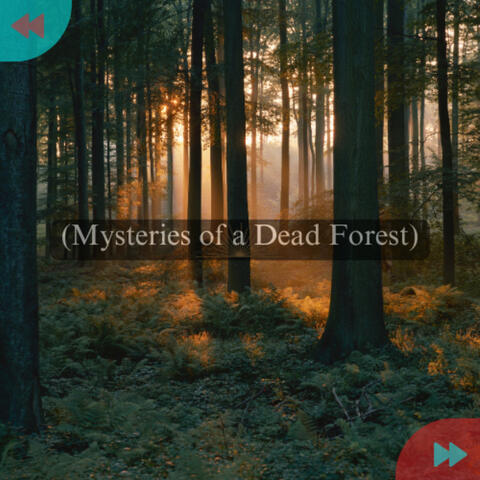 Mysteries of a Dead Forest