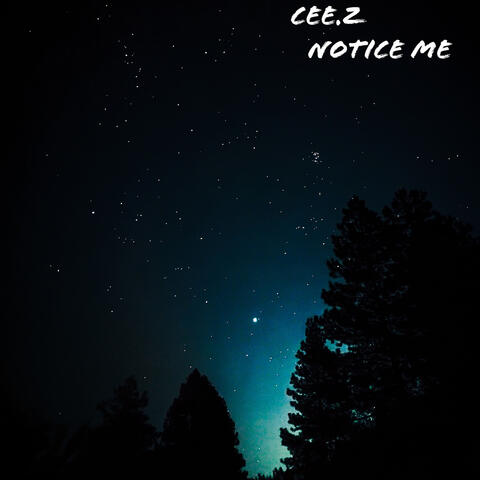 Notice Me