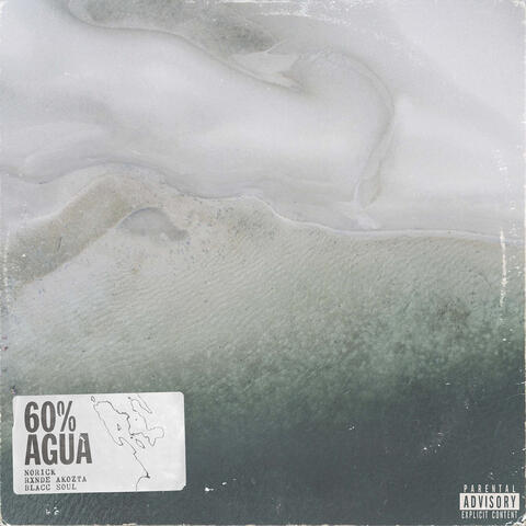 60 % Agua