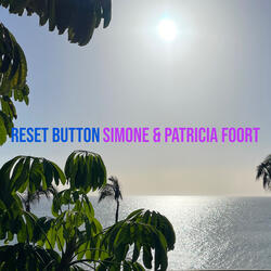 Reset Button