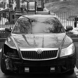 skoda enjoyer