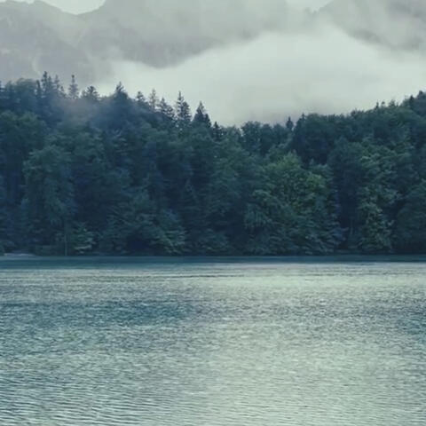 Something to Die For