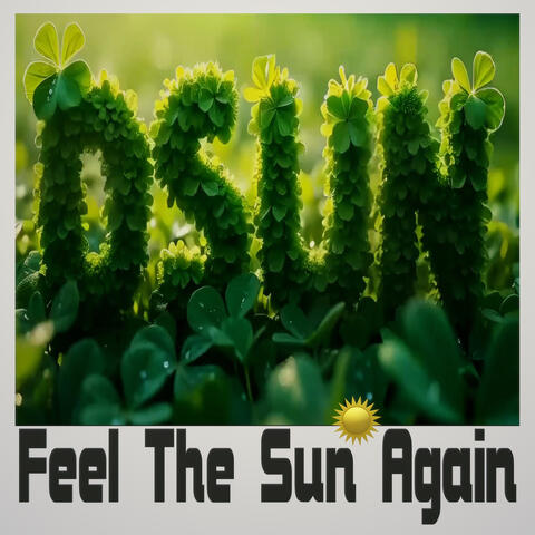 Feel the Sun Again