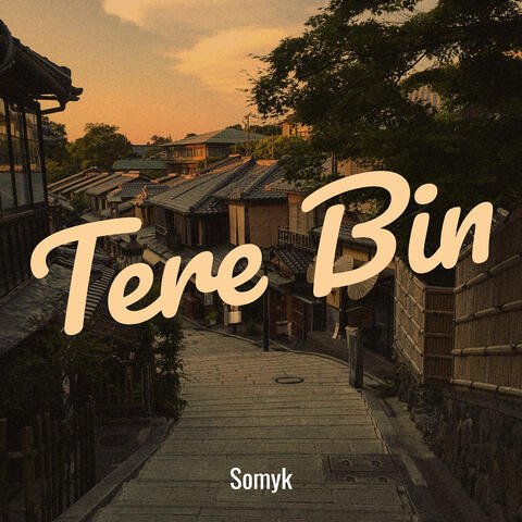 Tere Bin