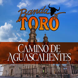 Camino De Aguascalientes
