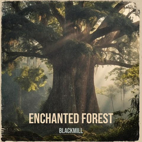 Enchanted Forest