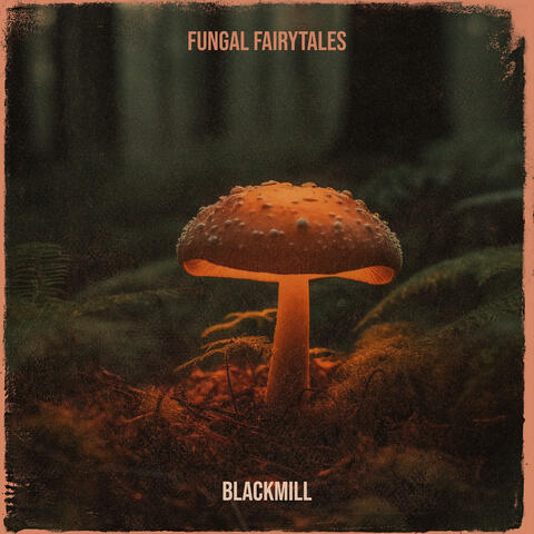 Fungal Fairytales