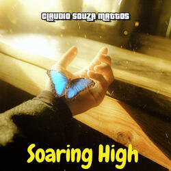 Soaring High