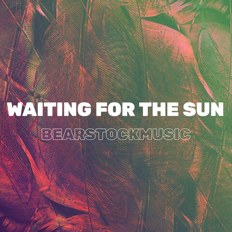 Waiting for the Sun