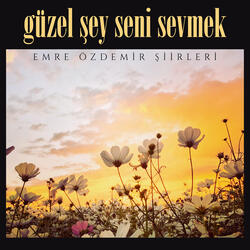 Güzel Şey Seni Sevmek