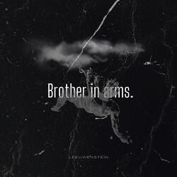 Brothers in Arms