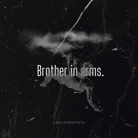 Brothers in Arms