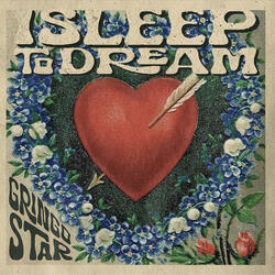I Sleep to Dream