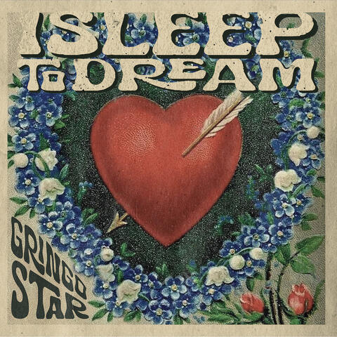 I Sleep to Dream