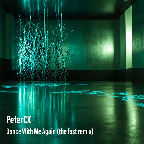 Dance With Me Again (The Fast Remix)