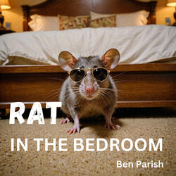 Rat in the Bedroom