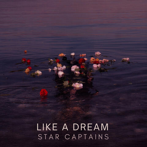 Like a Dream