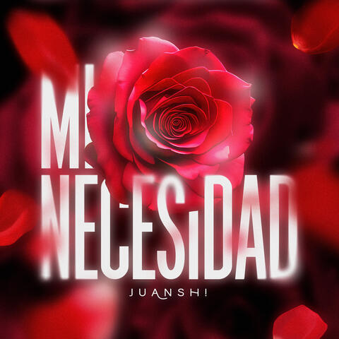 Mi Necesidad