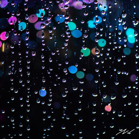 The Rain Persists
