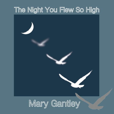 The Night You Flew so High