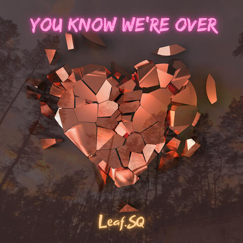 You Know We‘Re Over