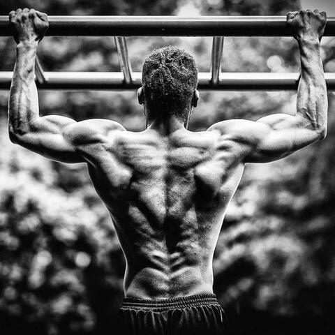Barfitness Workout Music
