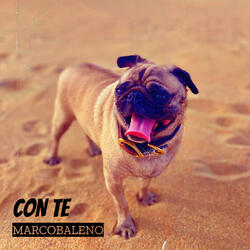 Con te