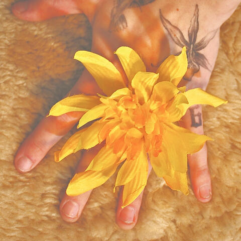 Touch