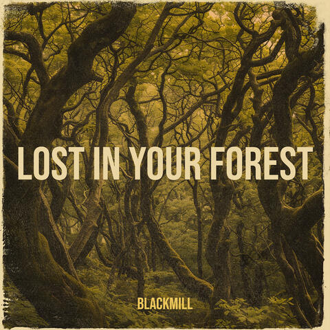 Lost in Your Forest