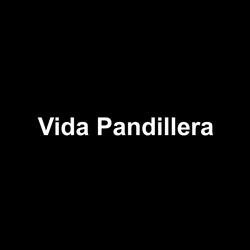 Vida Pandillera