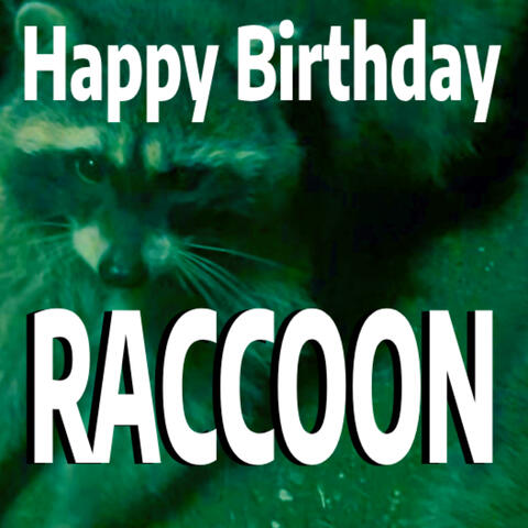 Happy Birthday Raccoon