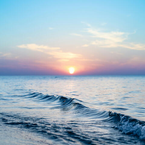 Blissful Dreams
