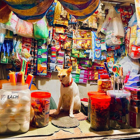 Gloria Runs the Shop