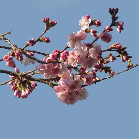 Spring Is Here
