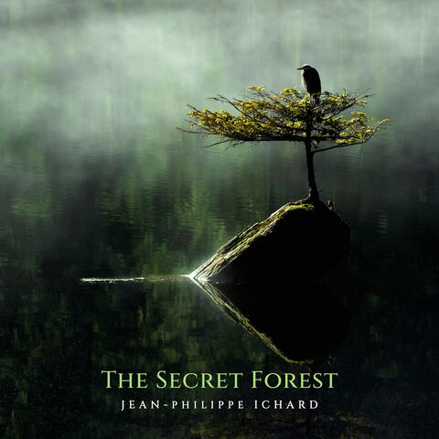 The Secret Forest