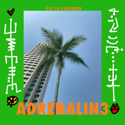 225 LA PUISSANCE