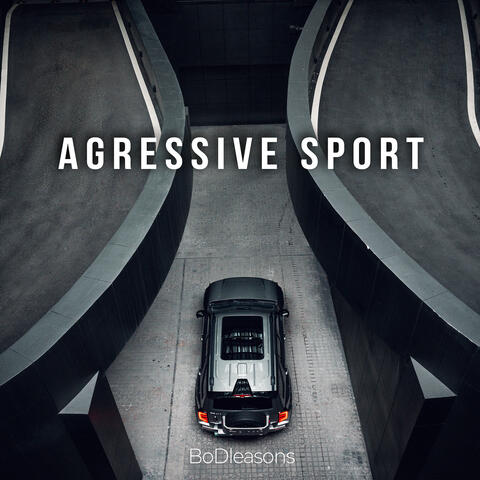 Agressive Sport