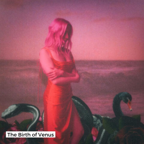 The Birth of Venus