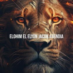 Elohim El Elyon