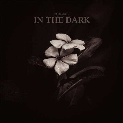 In the Dark
