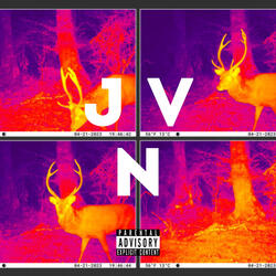 JVN