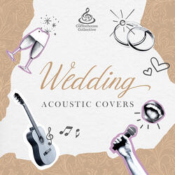 Can You Feel the Love Tonight (Acoustic Cover)