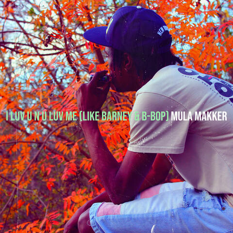 I Luv U n U Luv Me (Like Barney & B-Bop)
