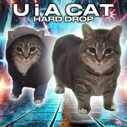 Hard Drop U I a Cat