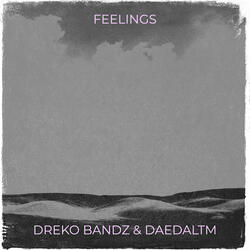 Feelings