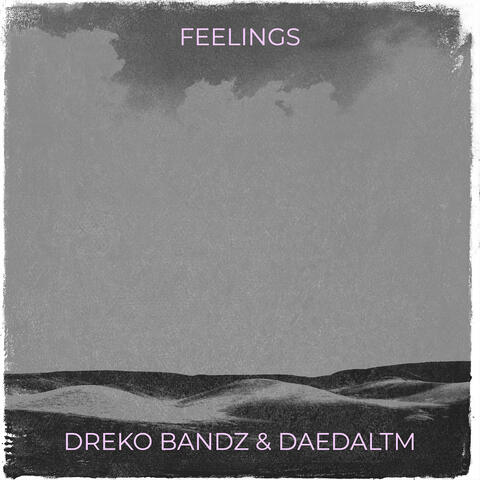 Feelings
